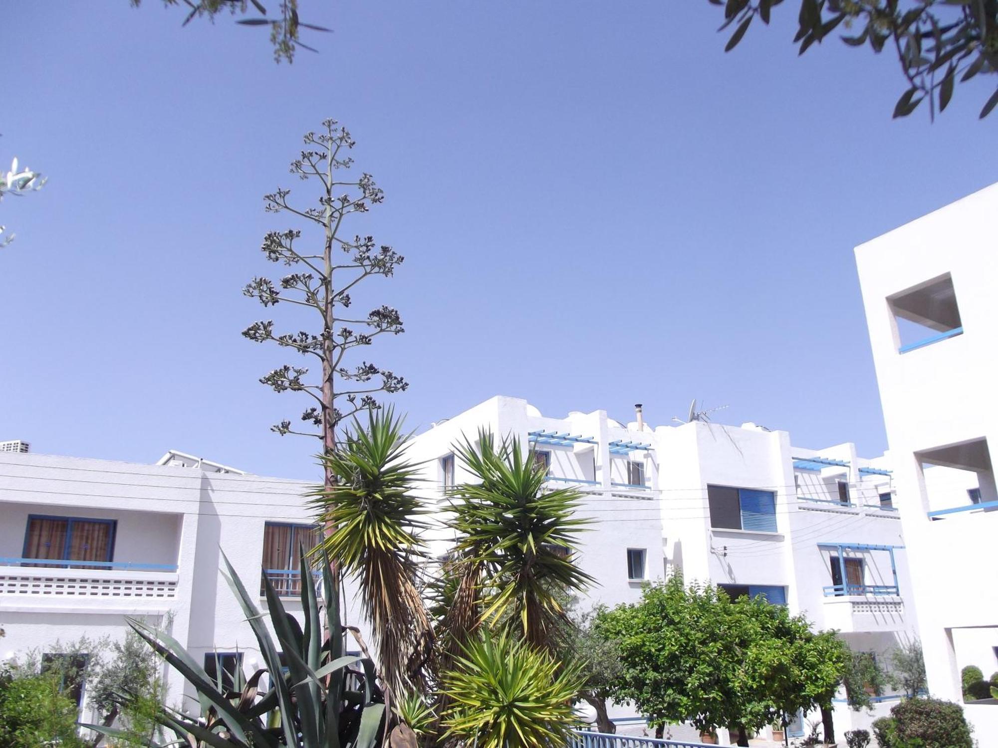 Paphos Kefalonitis Hotel Apartments מראה חיצוני תמונה
