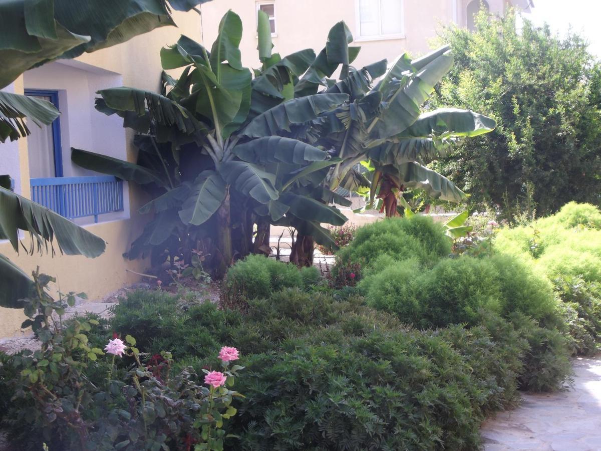 Paphos Kefalonitis Hotel Apartments מראה חיצוני תמונה